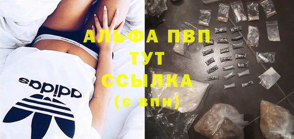 гашик Белоозёрский