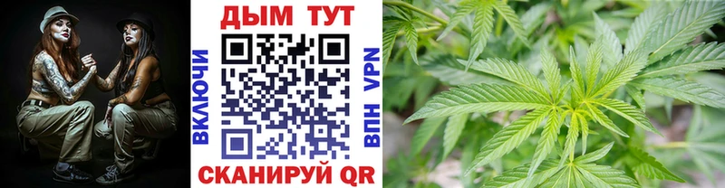 МАРИХУАНА семена  MEGA tor  Волхов 